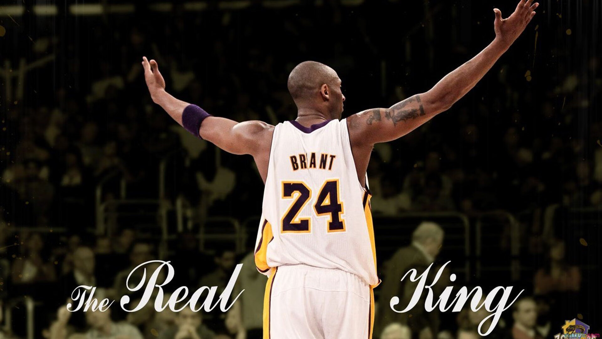 电竞亚运代表队名单确定LOL项目引关注,电竞亚运会lol队伍